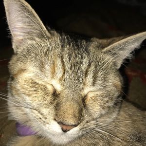 Meet your Posher, Scottie